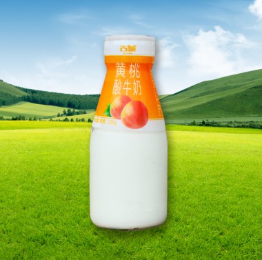 瓶装-黄桃酸牛奶